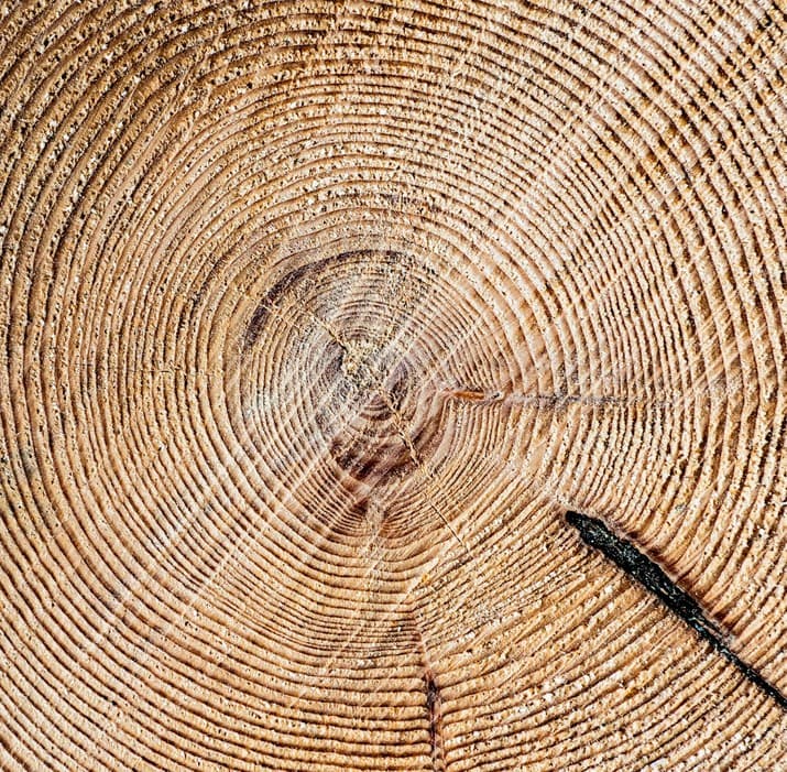 Organisatiestructuur laten meegroeien met je bedrijf: een stappenplan
